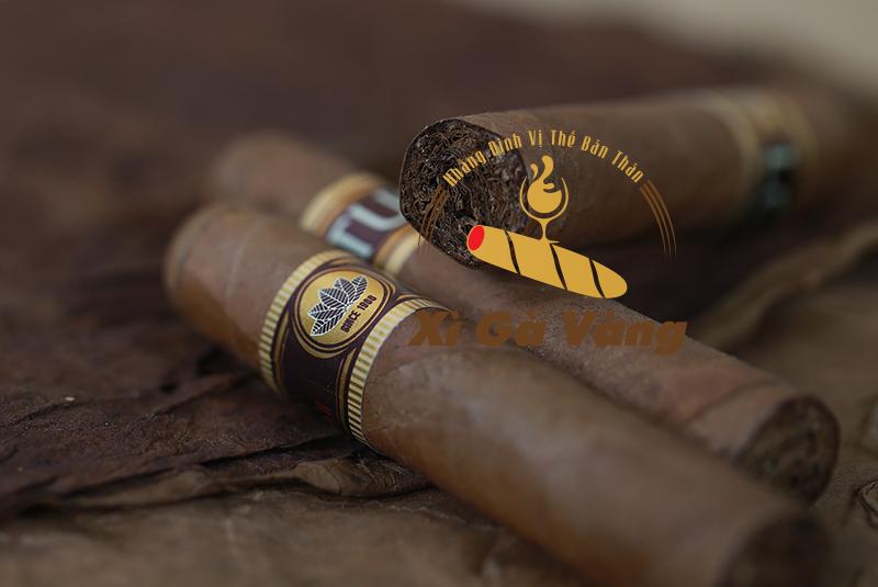 Xì Gà Vàng bán cigar chính hãng, giá tốt